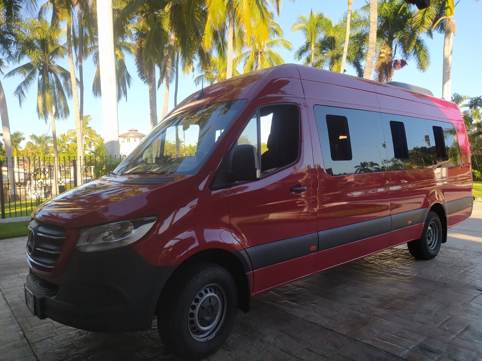 Sprinter de Turísticos TES entre palmeras en un destino de playa